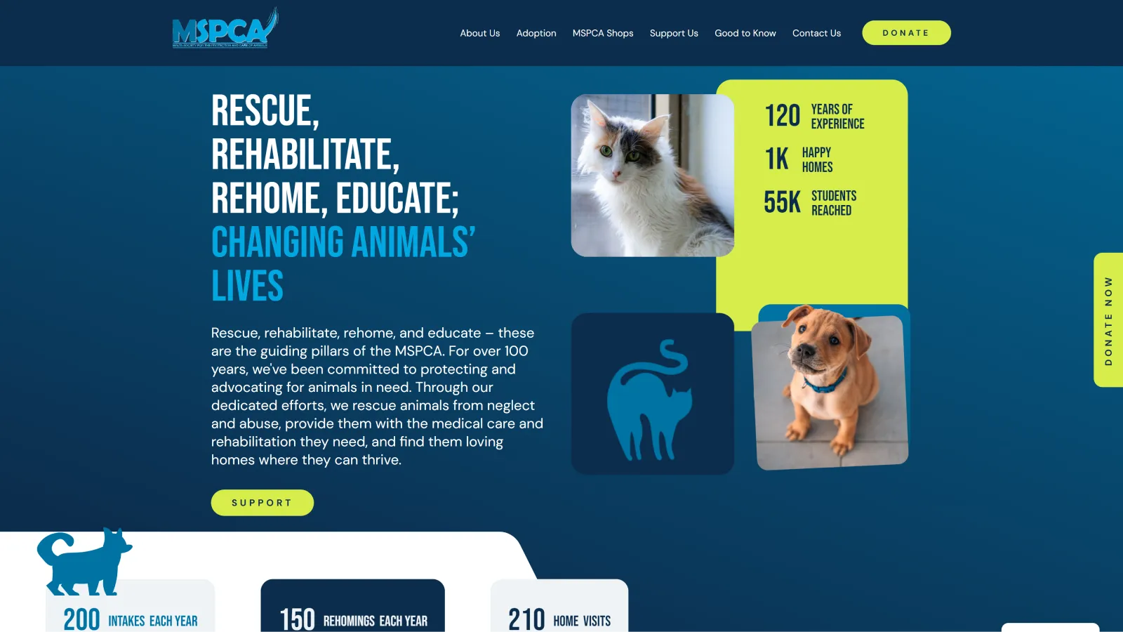 The Concept Stadium assists MSPCA on their new website to boost animal adoptions