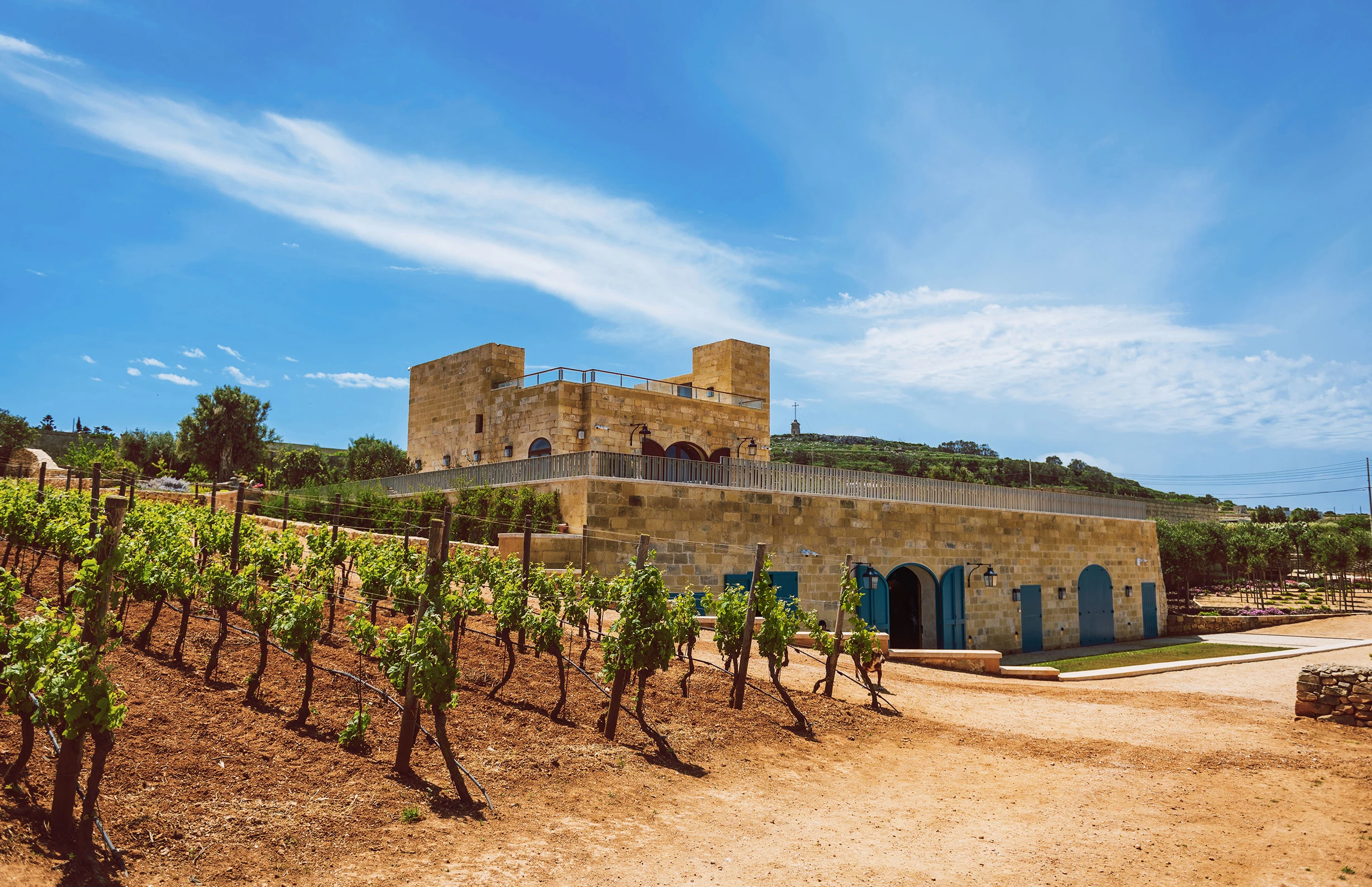 Fine Wines with Personality