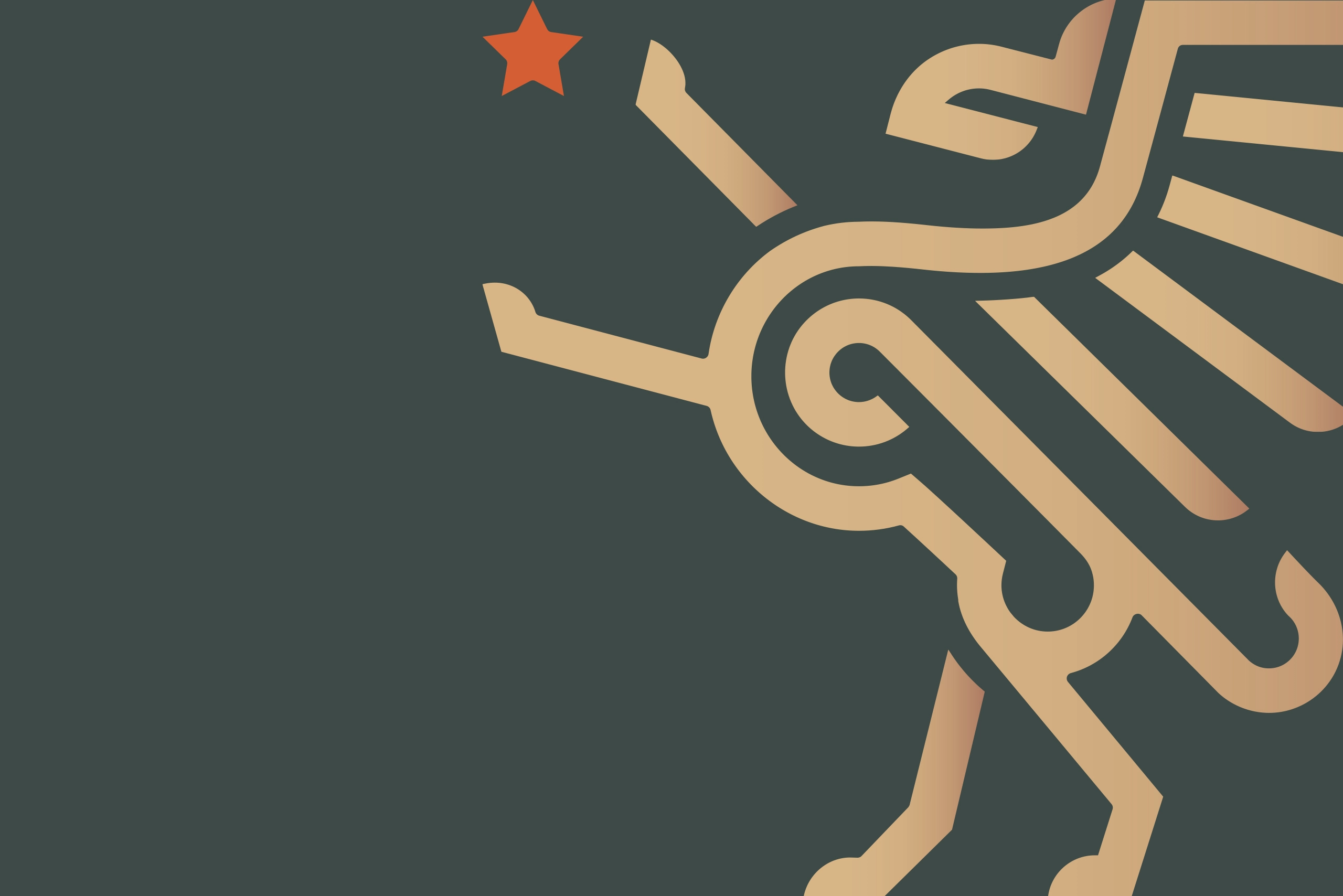 Branding & Building Business Ventures